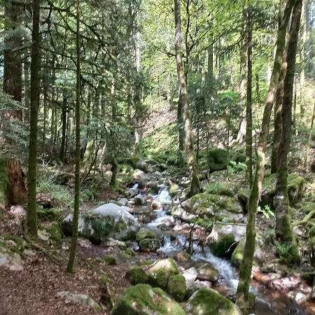 La Houbette Vue Magnifique - Nature 別荘 Dommartin-lès-Remiremont
