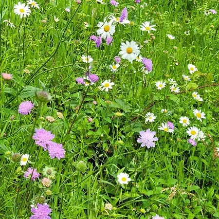 別荘 La Houbette Vue Magnifique - Nature *