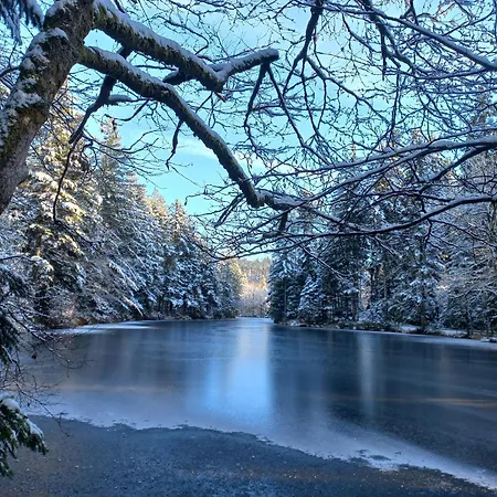 La Houbette Vue Magnifique - Nature 別荘 Dommartin-lès-Remiremont
